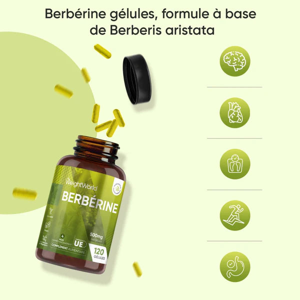 Complement alimentaire | Berbérine 500 mg