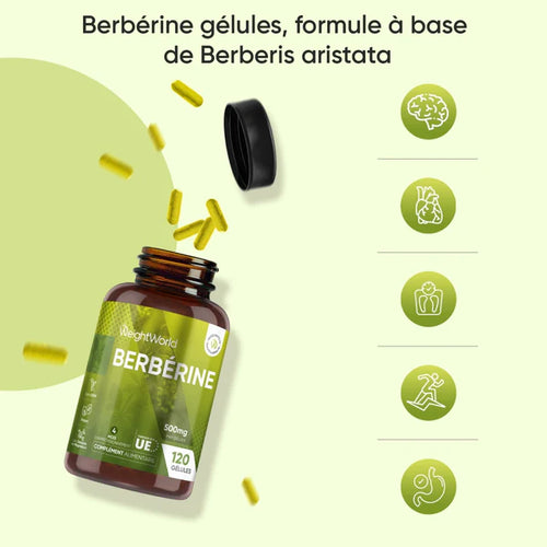 Complement alimentaire | Berbérine 500 mg