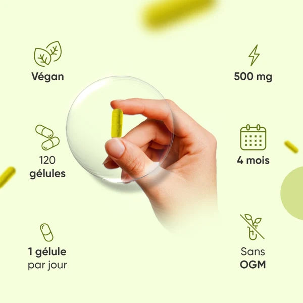 Complement alimentaire | Berbérine 500 mg