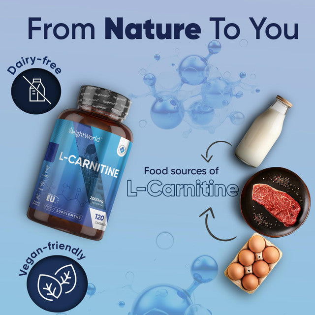 Complément alimentaire |Weightworld Gélules de L-Carnitine 2000 mg (666 mg par gélule)  120 capsules