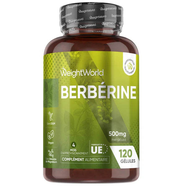 berberine 