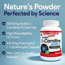 Acétyl L-Carnitine 637,5mg | Métabolisme énergétique et fonction cognitive | 120 Vcaps