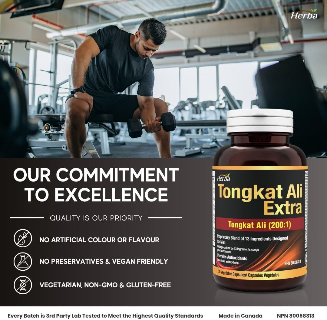 Herba Tongkat Ali Complément alimentaire pour homme – Extrait 200:1- 120 capsules