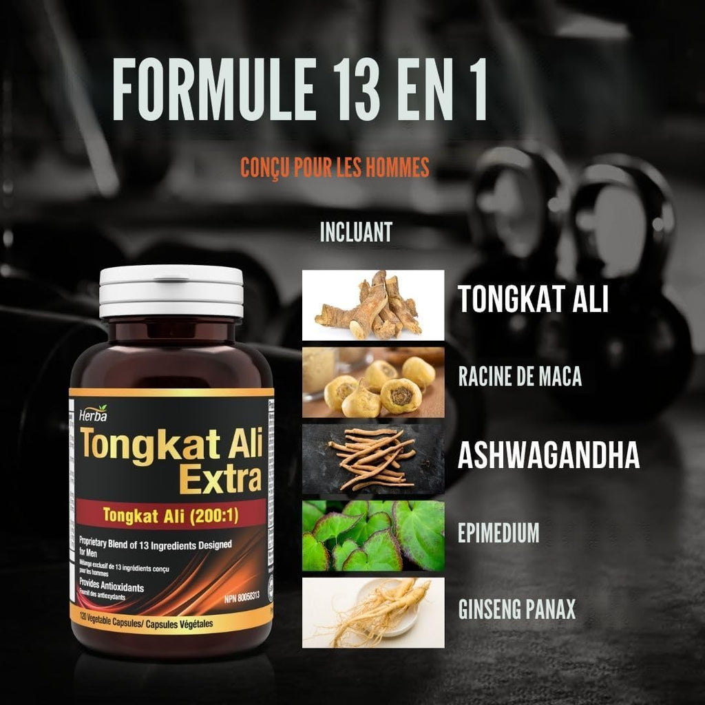 Herba Tongkat Ali Complément alimentaire pour homme – Extrait 200:1- 120 capsules