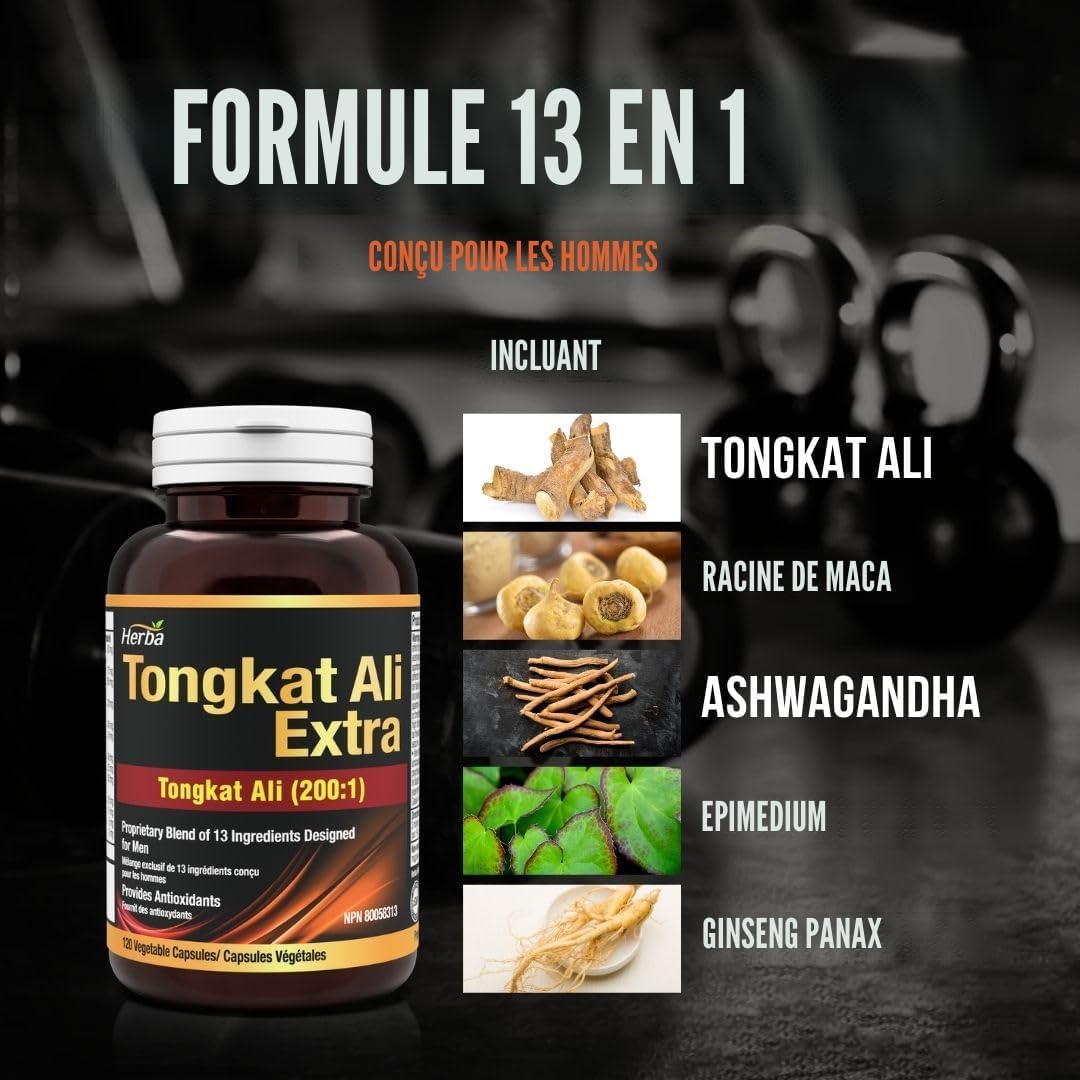 Herba Tongkat Ali Complément alimentaire pour homme – Extrait 200:1- 120 capsules