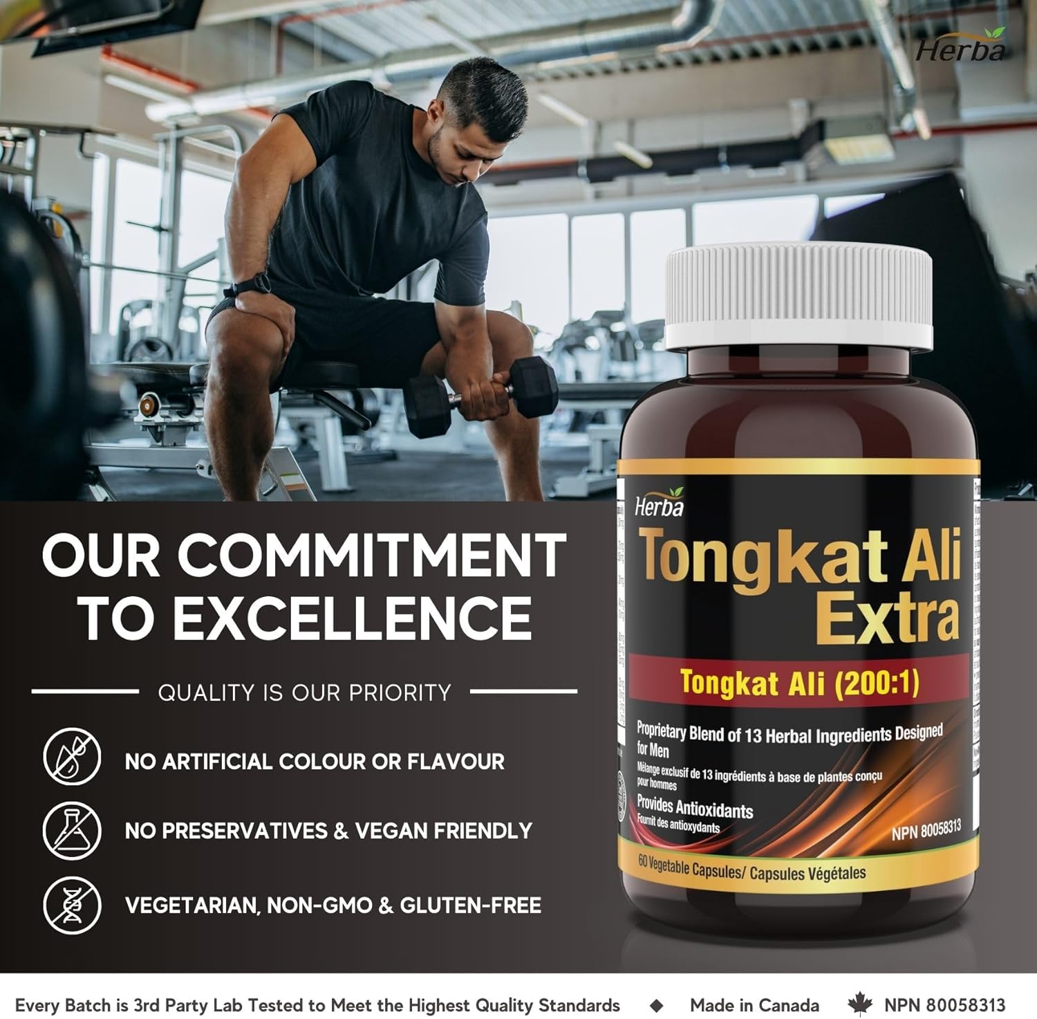Herba Tongkat Ali Complément alimentaire pour homme – Extrait 200:1- 60 capsules